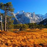 Das User-Bild des Tages - September 2006 - Bild 17