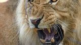 Das User-Bild des Tages - September 2006 - Bild 18