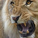 Das User-Bild des Tages - September 2006 - Bild 18