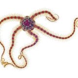 Fotoshow: Kreaturen der Nordsee - Bild 12