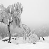 Das User-Bild des Tages - Oktober 2006 - Bild 4