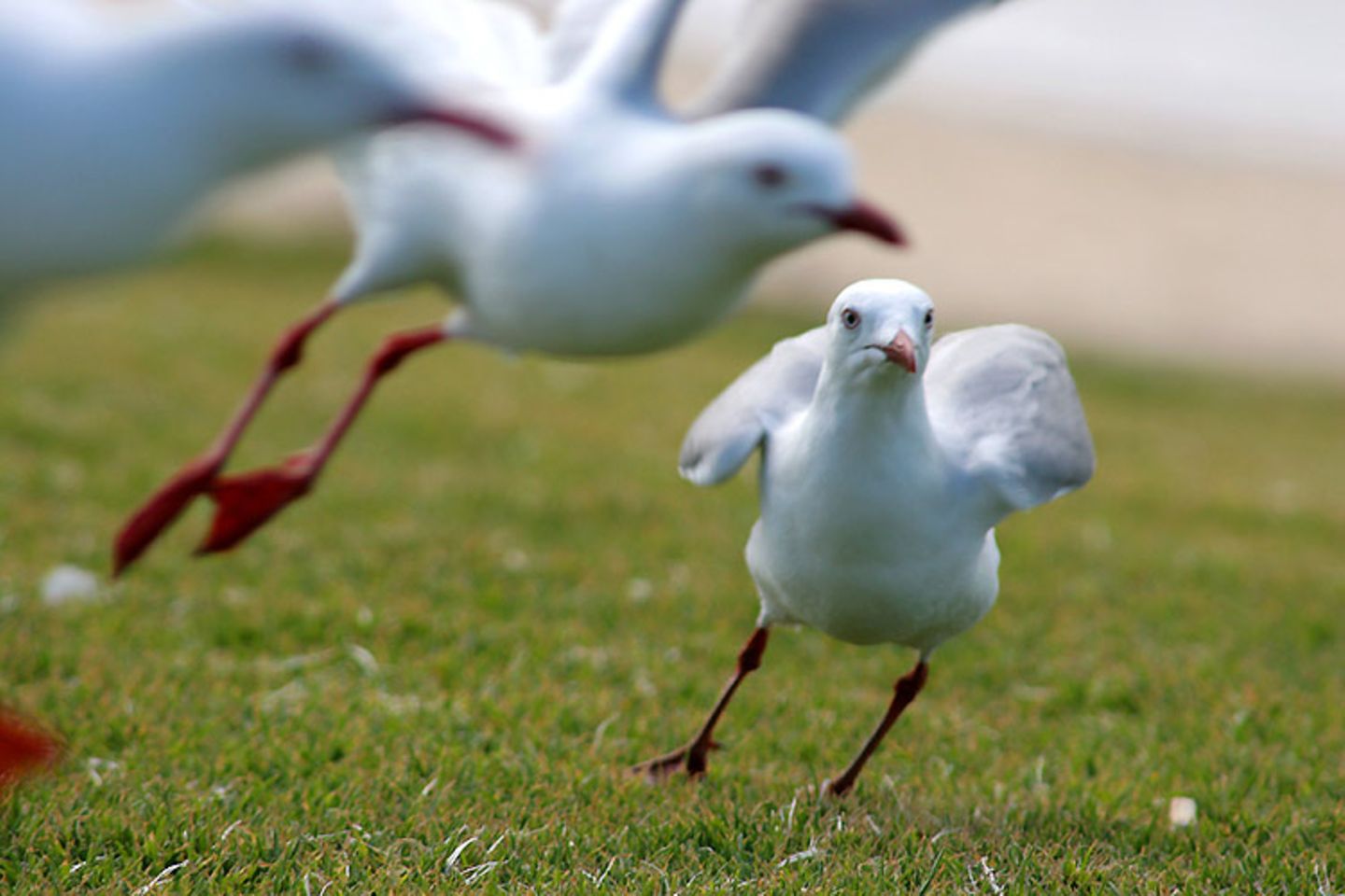 Das User-Bild des Tages - Oktober 2006 - Bild 5