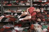 Das User-Bild des Tages - Oktober 2006 - Bild 13
