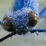 Das User-Bild des Tages - Oktober 2006 - Bild 15