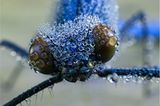 Das User-Bild des Tages - Oktober 2006 - Bild 15