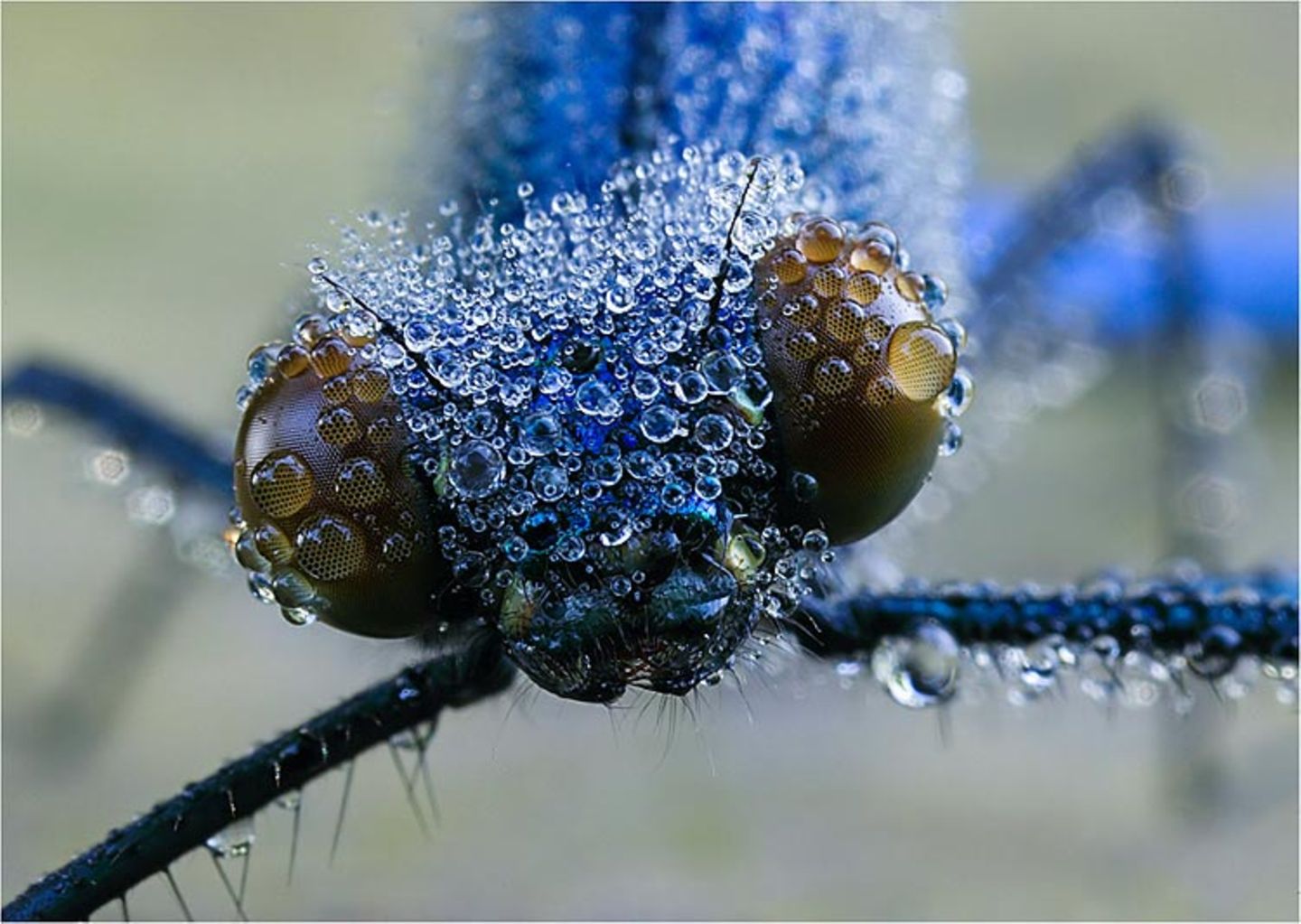 Das User-Bild des Tages - Oktober 2006 - Bild 15