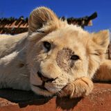 Das User-Bild des Tages - Oktober 2006 - Bild 19