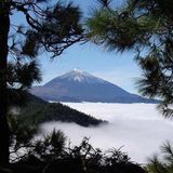 Das User-Bild des Tages - Oktober 2006 - Bild 22