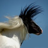 Das User-Bild des Tages - November 2006 - Bild 2