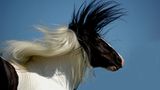 Das User-Bild des Tages - November 2006 - Bild 2