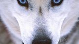 Das User-Bild des Tages - November 2006 - Bild 6