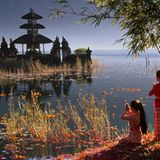 Das User-Bild des Tages - November 2006 - Bild 12