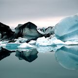 Das User-Bild des Tages - November 2006 - Bild 14