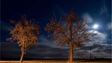 Das User-Bild des Tages - November 2006 - Bild 16