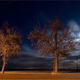 Das User-Bild des Tages - November 2006 - Bild 16