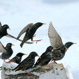 Das User-Bild des Tages - November 2006 - Bild 19