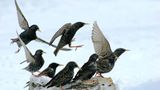 Das User-Bild des Tages - November 2006 - Bild 19