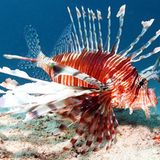 Das User-Bild des Tages - November 2006 - Bild 21