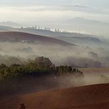 Das User-Bild des Tages - November 2006 - Bild 22