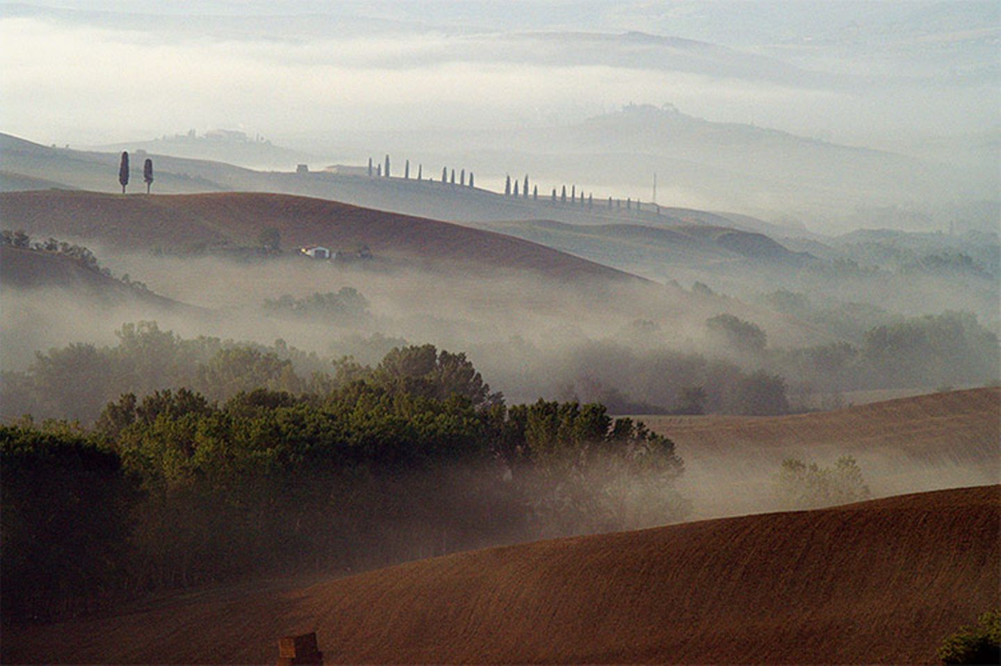 Das User-Bild des Tages - November 2006 - Bild 22