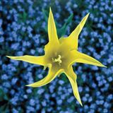 Das User-Bild des Tages - Dezember 2006 - Bild 2