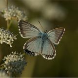 Das User-Bild des Tages - Dezember 2006 - Bild 3