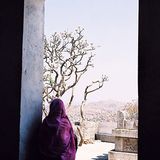 Das User-Bild des Tages - Dezember 2006 - Bild 5