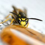 Das User-Bild des Tages - Dezember 2006 - Bild 6