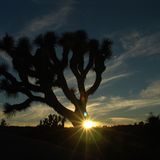 Das User-Bild des Tages - Dezember 2006 - Bild 8