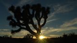 Das User-Bild des Tages - Dezember 2006 - Bild 8