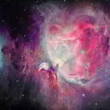 Das User-Bild des Tages - Dezember 2006 - Bild 11