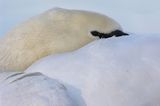 Das User-Bild des Tages - Dezember 2006 - Bild 12
