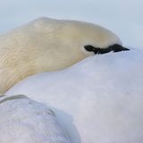 Das User-Bild des Tages - Dezember 2006 - Bild 12