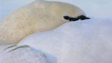 Das User-Bild des Tages - Dezember 2006 - Bild 12