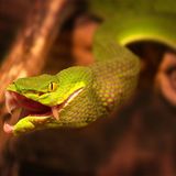 Das User-Bild des Tages - Dezember 2006 - Bild 14