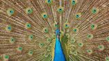 Das User-Bild des Tages - Dezember 2006 - Bild 16