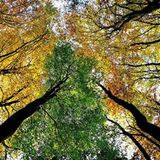 Das User-Bild des Tages - Dezember 2006 - Bild 19