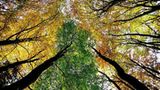 Das User-Bild des Tages - Dezember 2006 - Bild 19