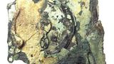 Der Mechanismus von Antikythera - Bild 3