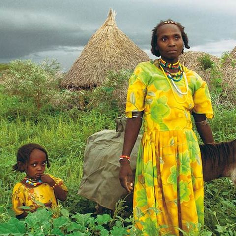 Eritrea: Esel für die Ärmsten