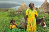 Eritrea: Esel für die Ärmsten