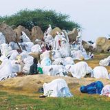 Eritrea: Esel für die Ärmsten - Bild 3