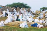 Eritrea: Esel für die Ärmsten - Bild 3