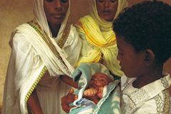 Eritrea: Esel für die Ärmsten - Bild 4