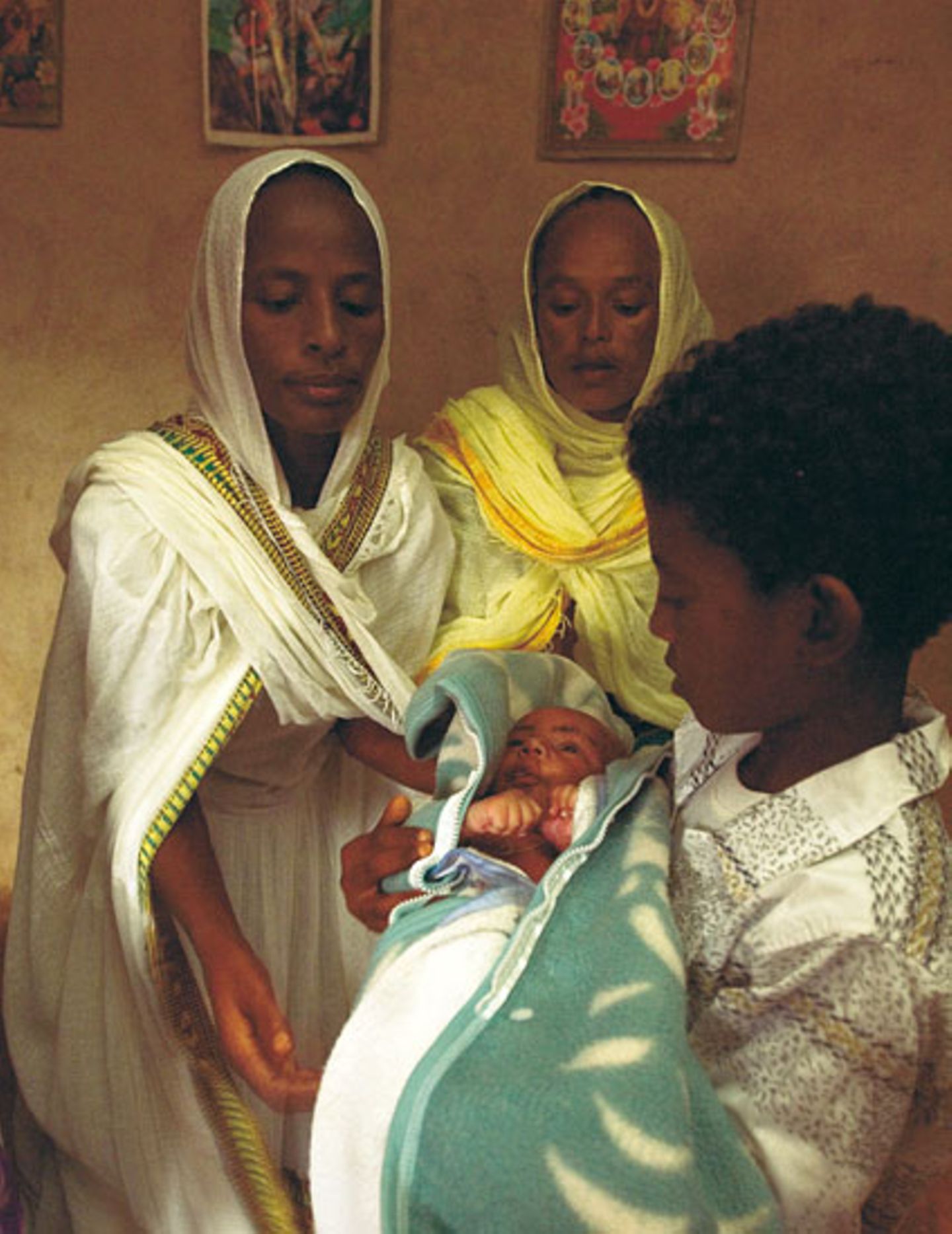 Eritrea: Esel für die Ärmsten - Bild 4