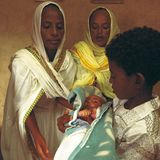 Eritrea: Esel für die Ärmsten - Bild 4