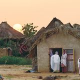 Eritrea: Esel für die Ärmsten - Bild 5