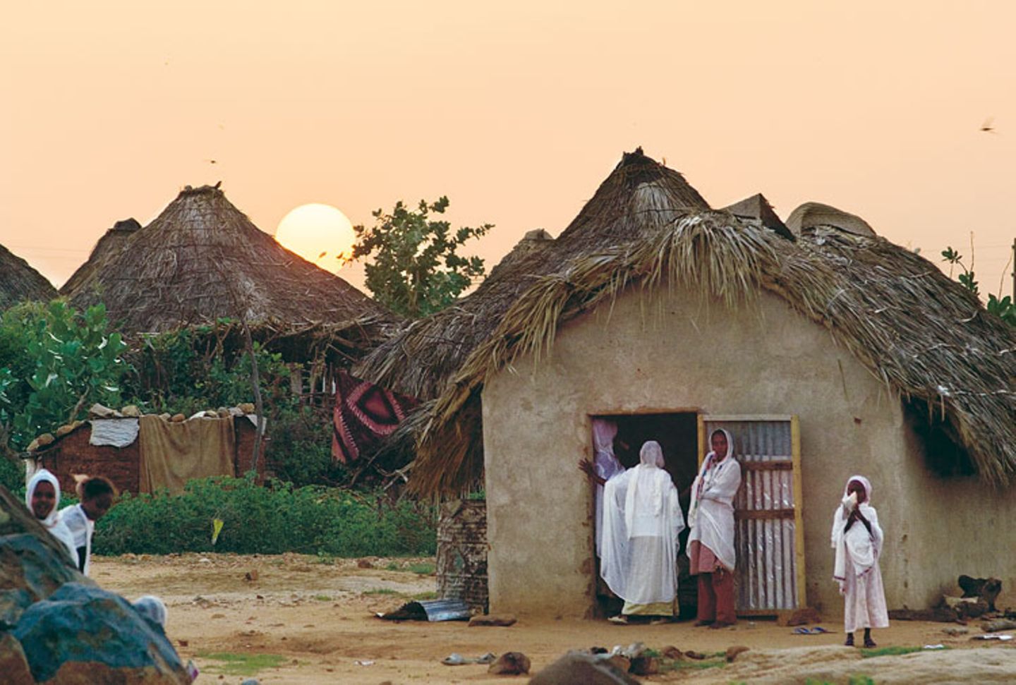 Eritrea: Esel für die Ärmsten - Bild 5
