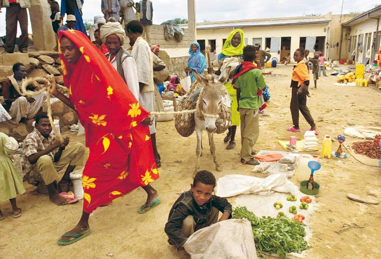 Eritrea: Esel für die Ärmsten - Bild 6