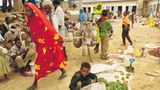 Eritrea: Esel für die Ärmsten - Bild 6